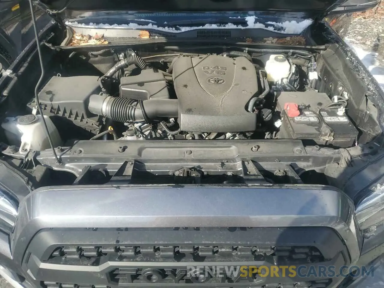 11 Photograph of a damaged car 3TMCZ5AN5PM563305 TOYOTA TACOMA 2023