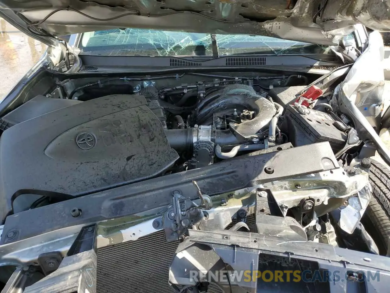 11 Photograph of a damaged car 3TMCZ5AN5PM626550 TOYOTA TACOMA 2023