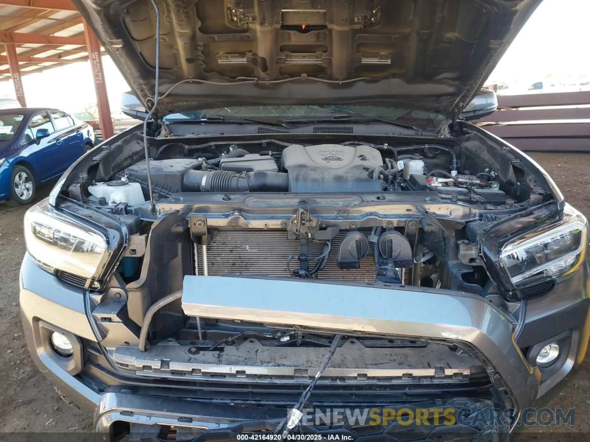 10 Photograph of a damaged car 3TMCZ5AN6PM577729 TOYOTA TACOMA 2023