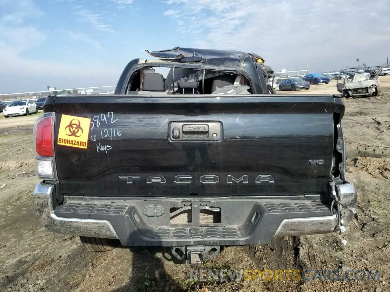 6 Photograph of a damaged car 3TMCZ5AN7PM557344 TOYOTA TACOMA 2023