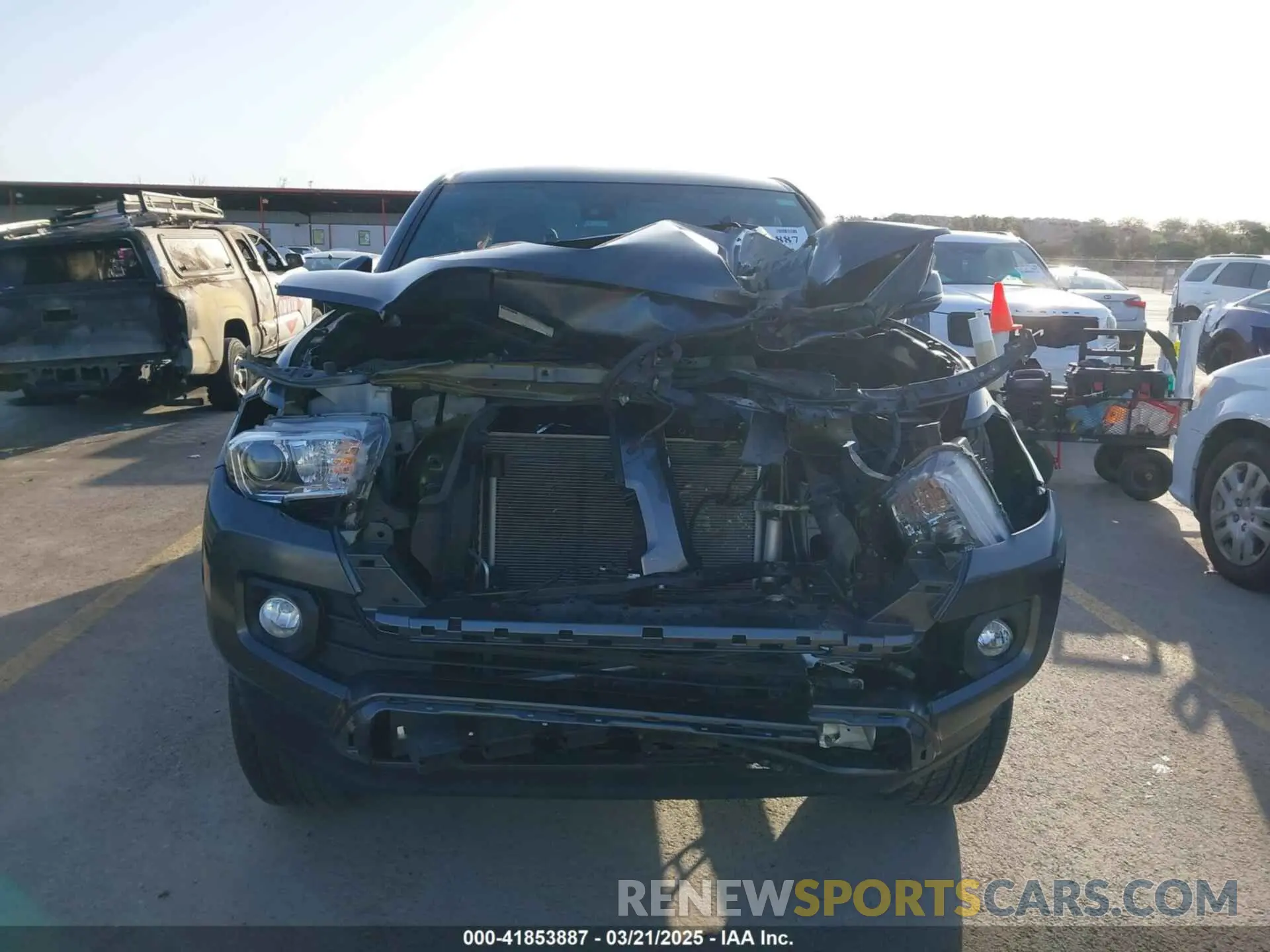 12 Photograph of a damaged car 3TMCZ5AN7PM587833 TOYOTA TACOMA 2023