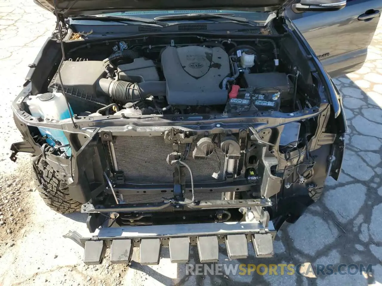 12 Photograph of a damaged car 3TMCZ5AN7PM628719 TOYOTA TACOMA 2023