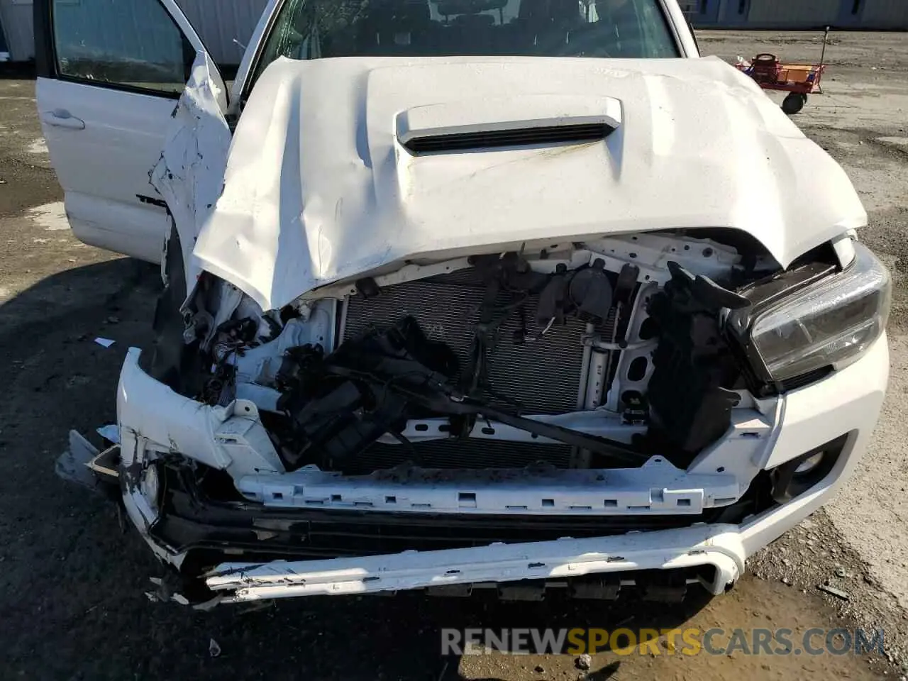 12 Photograph of a damaged car 3TMCZ5AN7PM649683 TOYOTA TACOMA 2023