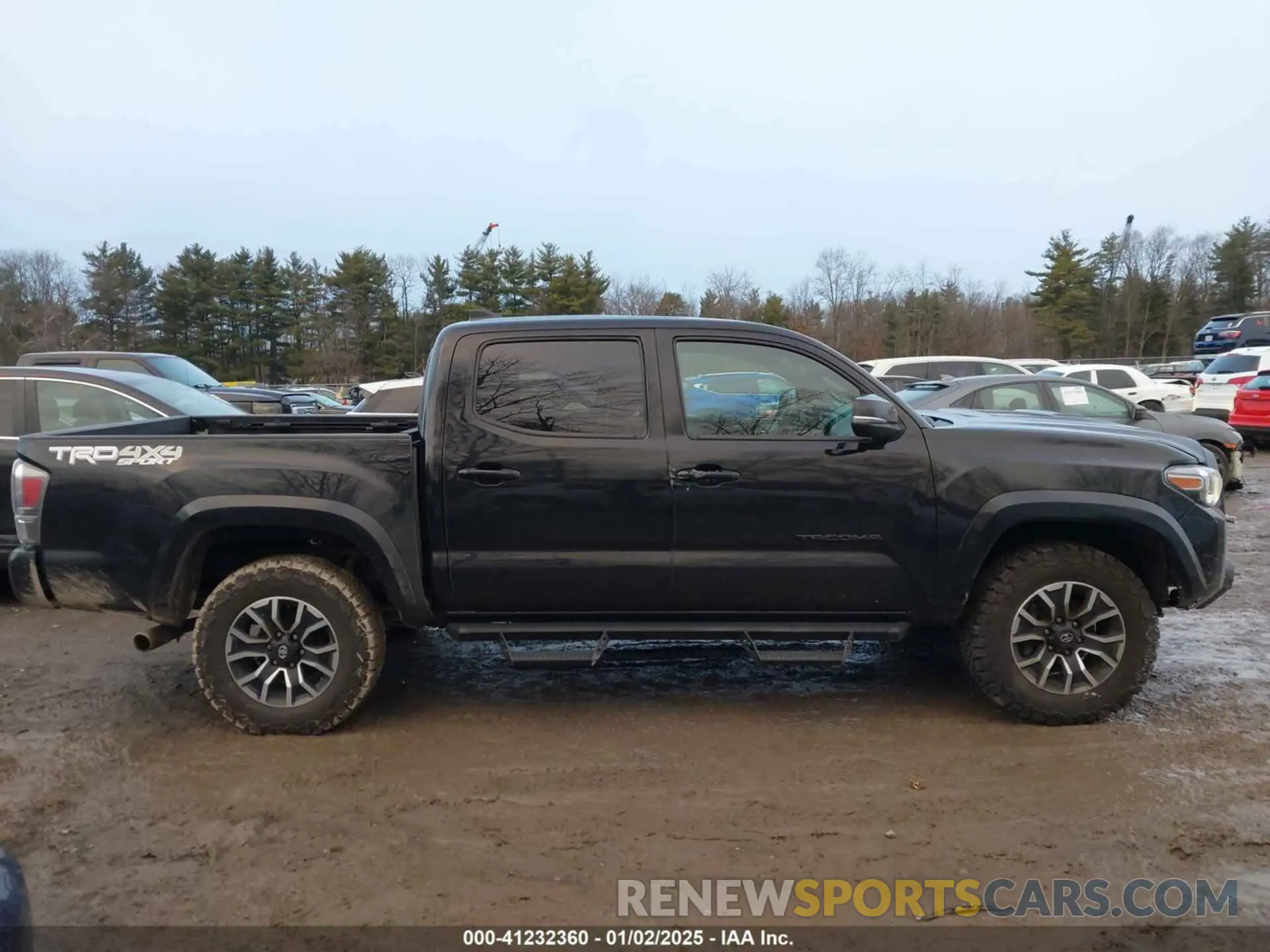 13 Photograph of a damaged car 3TMCZ5AN8PM537944 TOYOTA TACOMA 2023