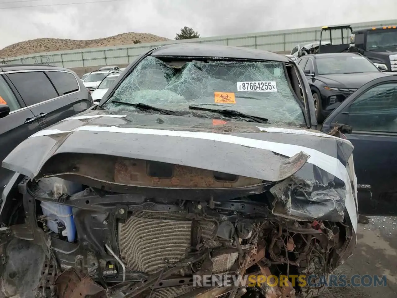11 Photograph of a damaged car 3TMCZ5AN8PM571155 TOYOTA TACOMA 2023