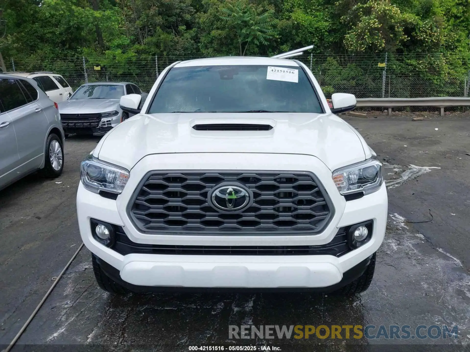 12 Photograph of a damaged car 3TMCZ5AN8PM629765 TOYOTA TACOMA 2023