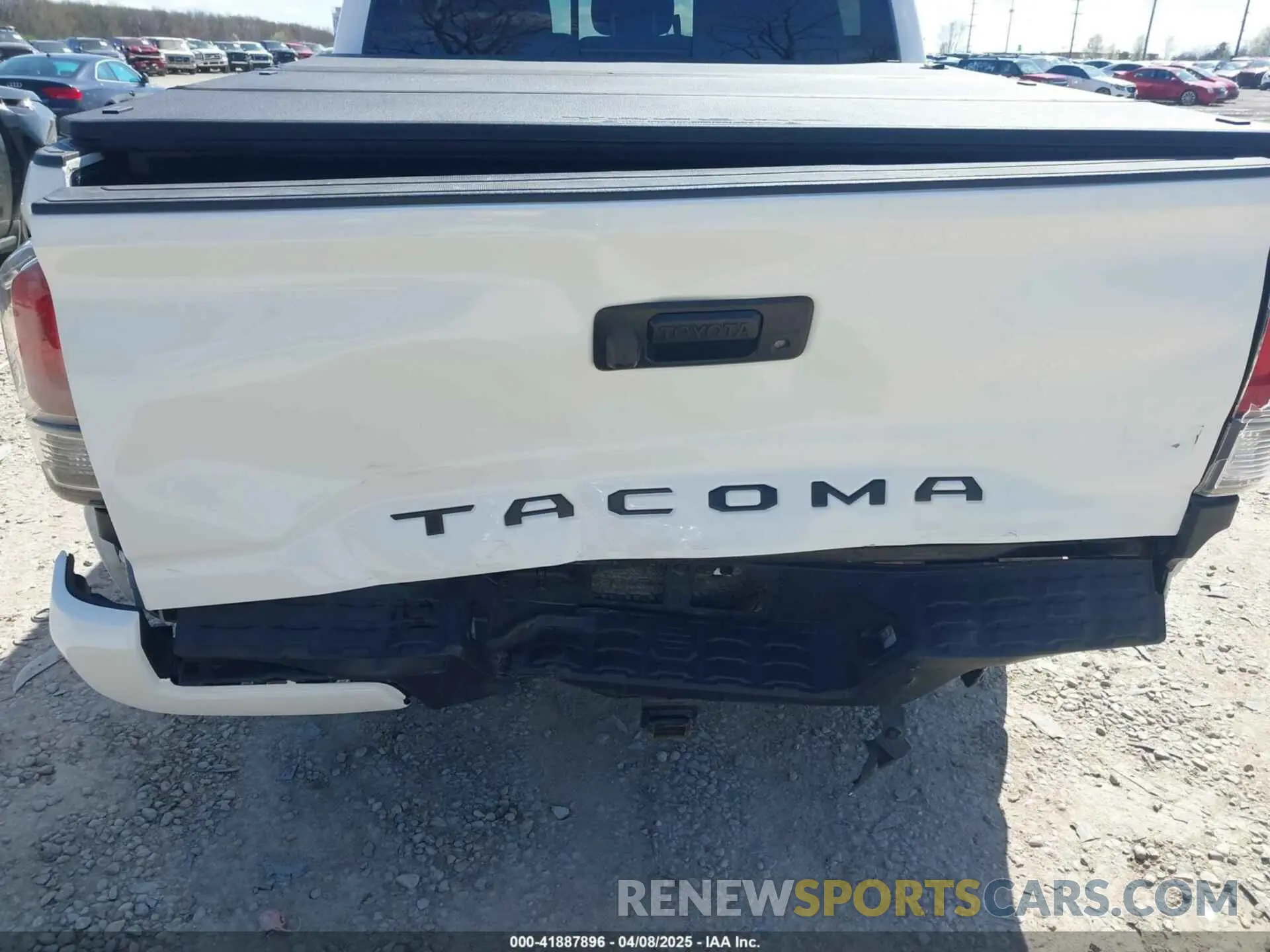 19 Photograph of a damaged car 3TMCZ5AN8PM647523 TOYOTA TACOMA 2023