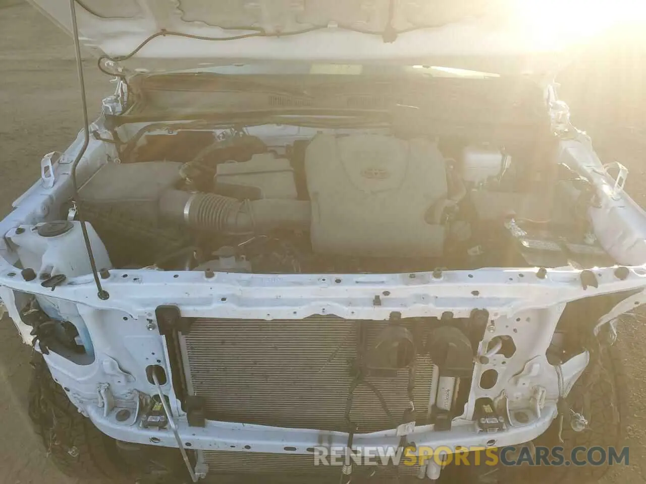 11 Photograph of a damaged car 3TMCZ5AN9PM597022 TOYOTA TACOMA 2023