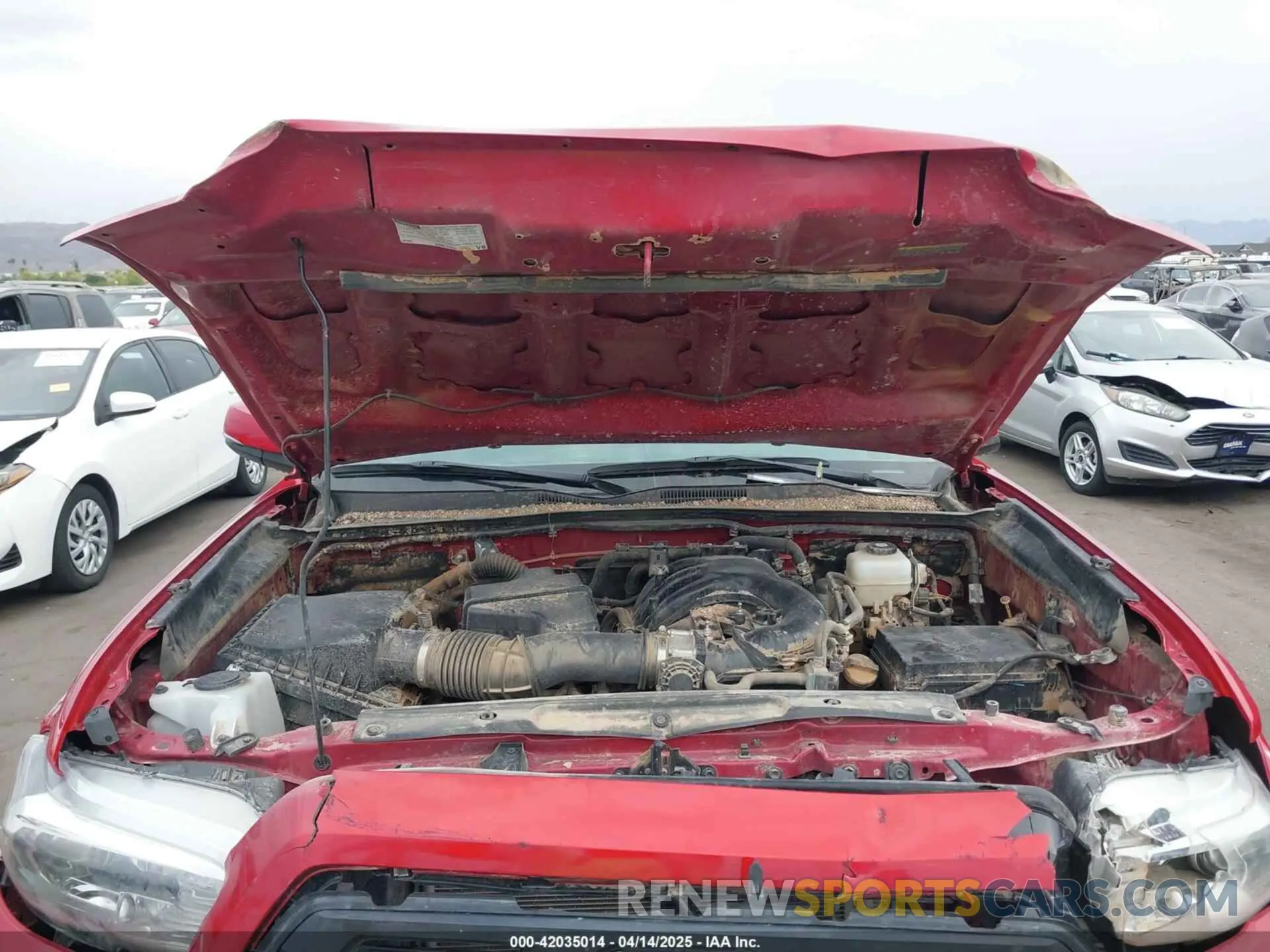 10 Photograph of a damaged car 3TMCZ5AN9PM628155 TOYOTA TACOMA 2023