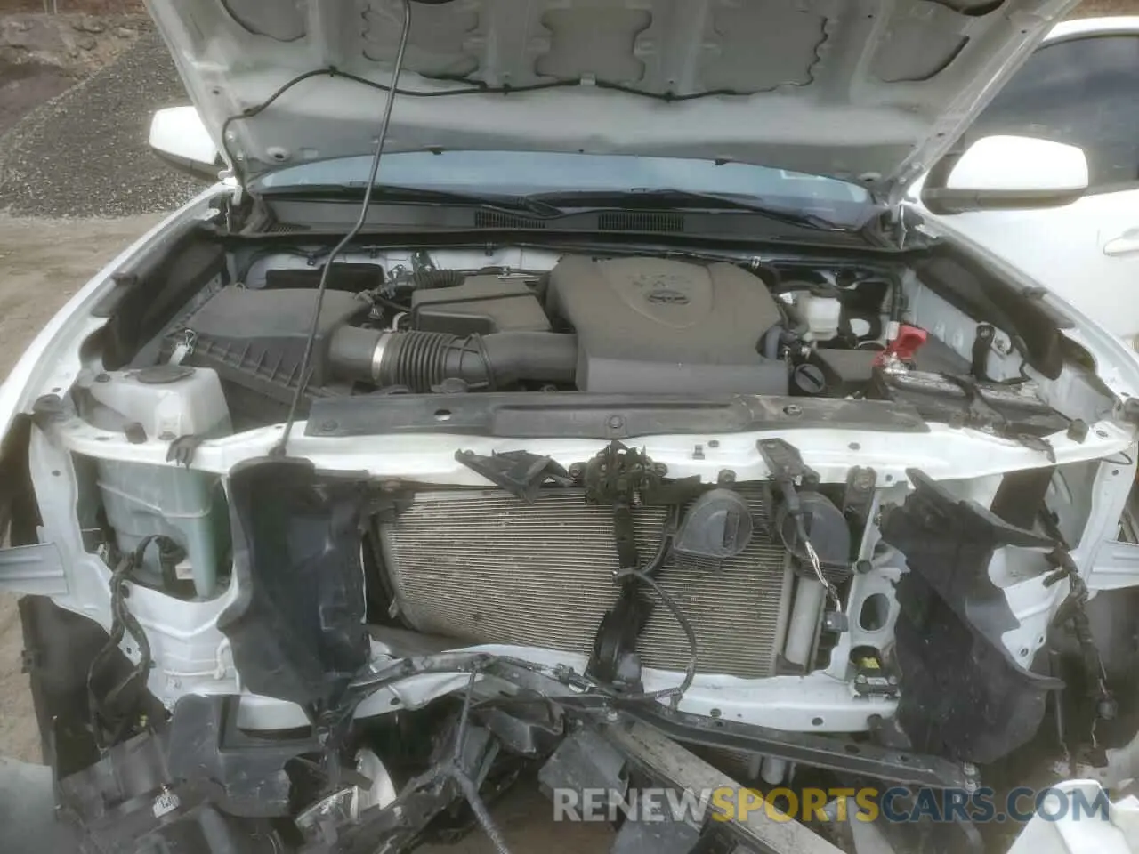 12 Photograph of a damaged car 3TMCZ5AN9PM638507 TOYOTA TACOMA 2023
