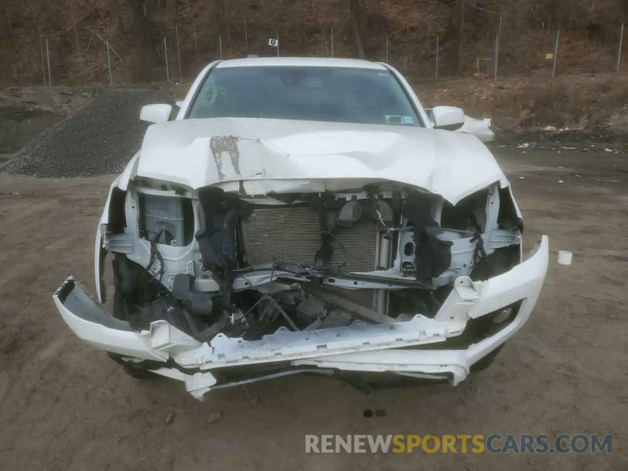 5 Photograph of a damaged car 3TMCZ5AN9PM638507 TOYOTA TACOMA 2023
