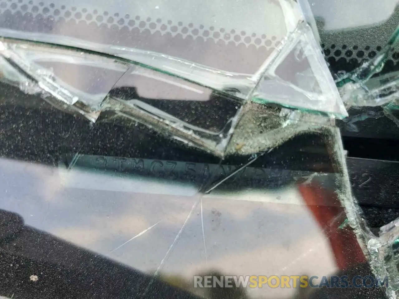 13 Photograph of a damaged car 3TMCZ5ANXPM622882 TOYOTA TACOMA 2023