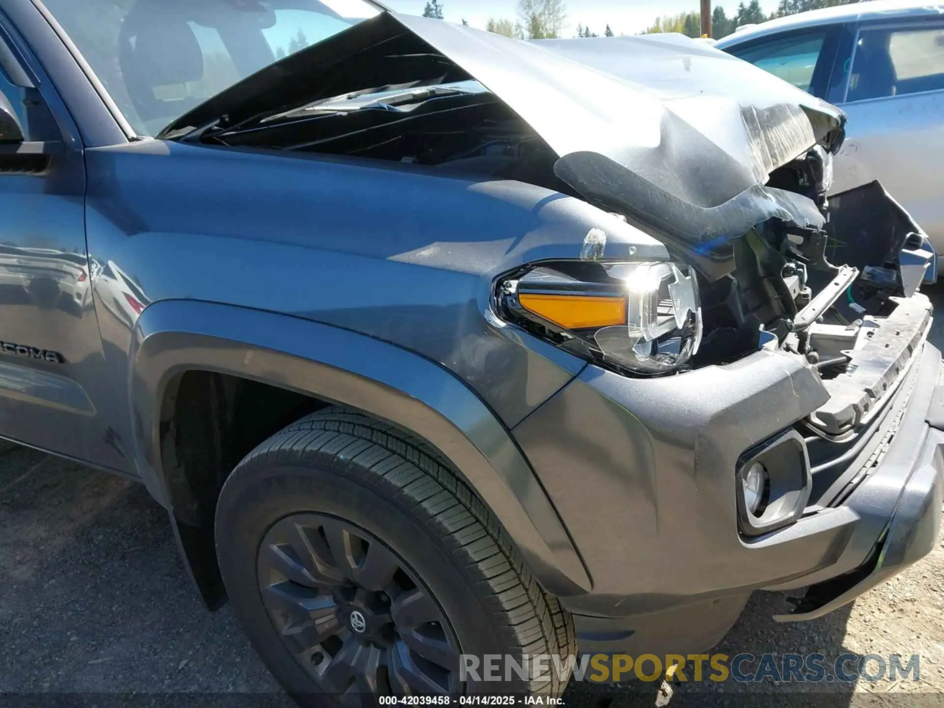 19 Photograph of a damaged car 3TMGZ5AN8PM635244 TOYOTA TACOMA 2023