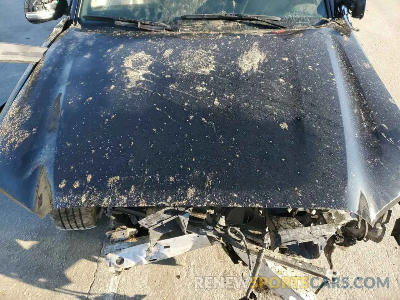 11 Photograph of a damaged car 3TMHZ5BN4PM147248 TOYOTA TACOMA 2023