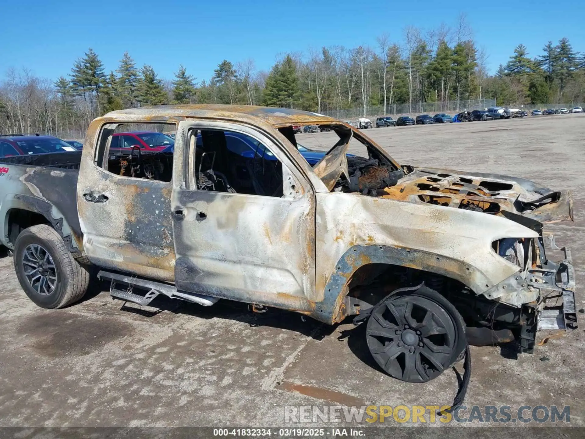 11 Photograph of a damaged car 3TYCZ5AN2PT132764 TOYOTA TACOMA 2023