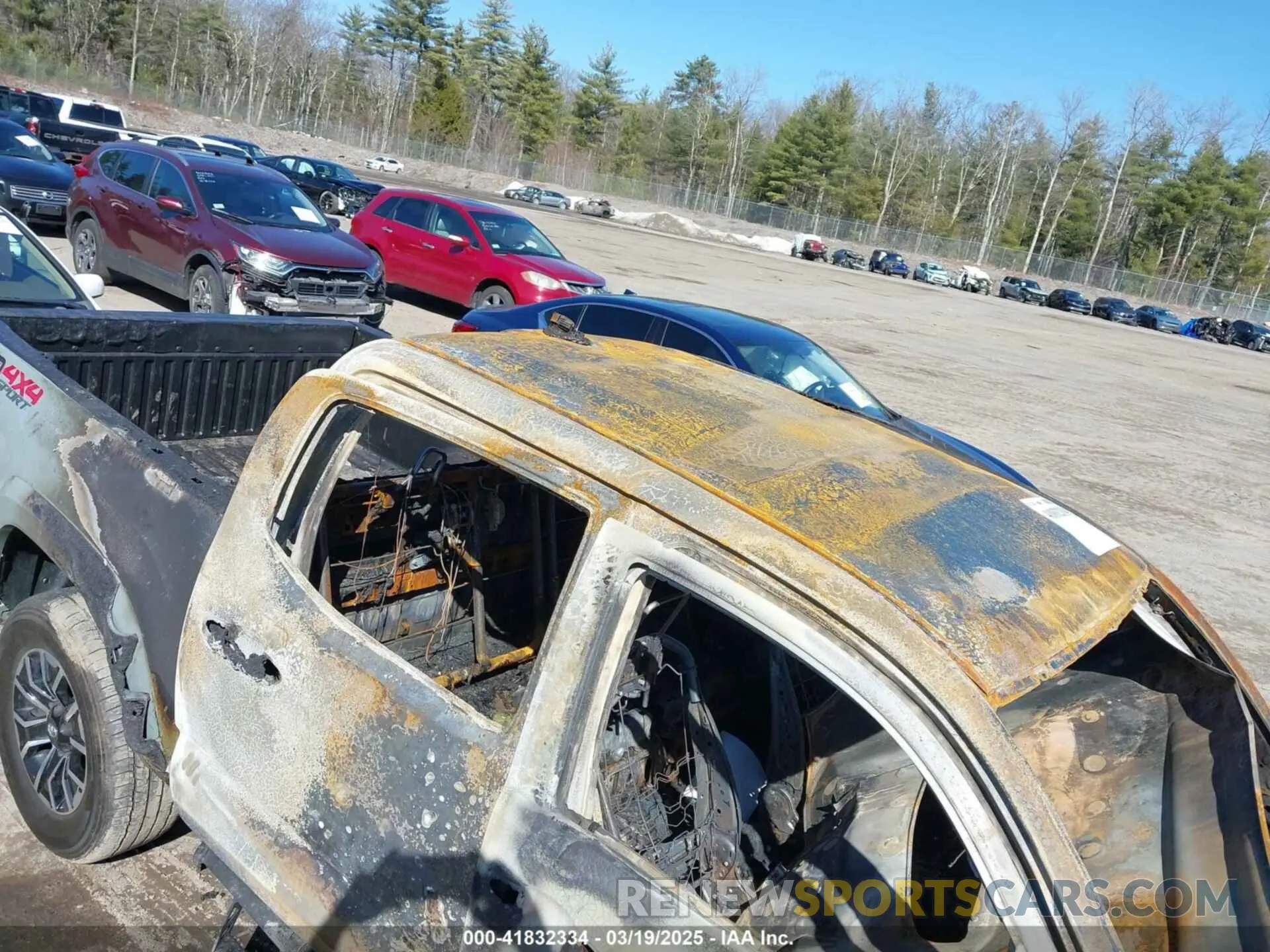 12 Photograph of a damaged car 3TYCZ5AN2PT132764 TOYOTA TACOMA 2023