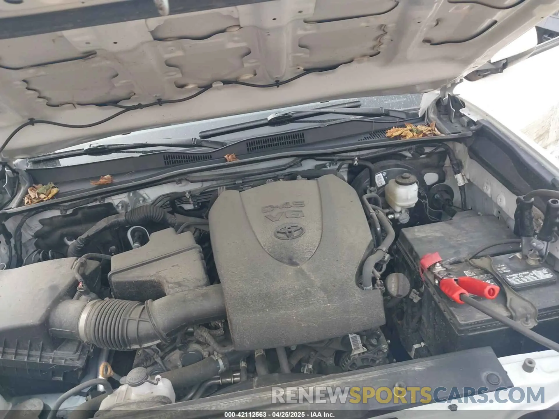 10 Photograph of a damaged car 3TYCZ5AN4PT136492 TOYOTA TACOMA 2023