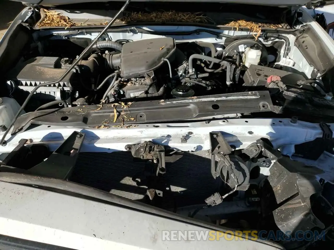 11 Photograph of a damaged car 3TYRX5GN2PT084805 TOYOTA TACOMA 2023