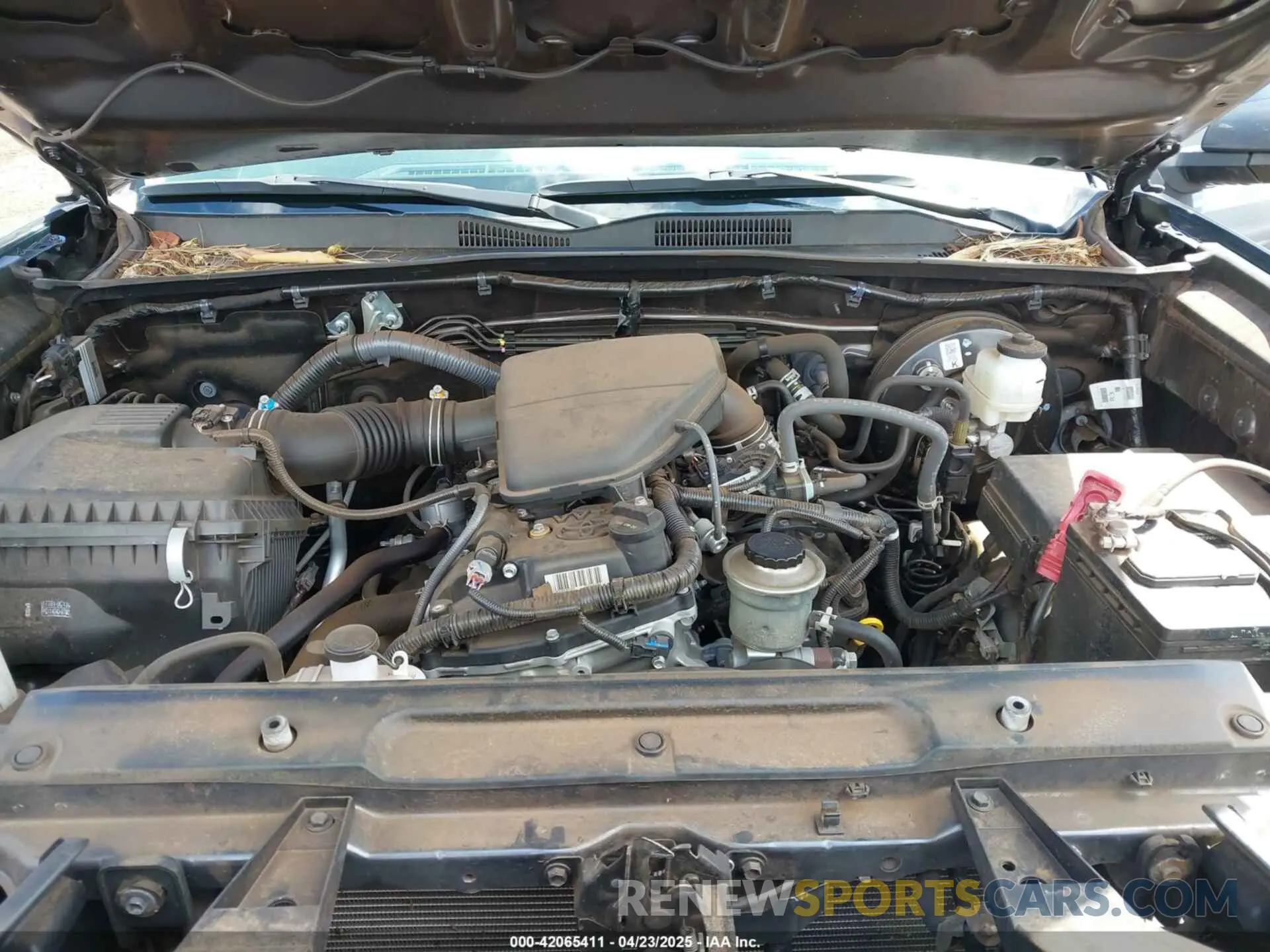 10 Photograph of a damaged car 3TYSX5EN5PT019063 TOYOTA TACOMA 2023