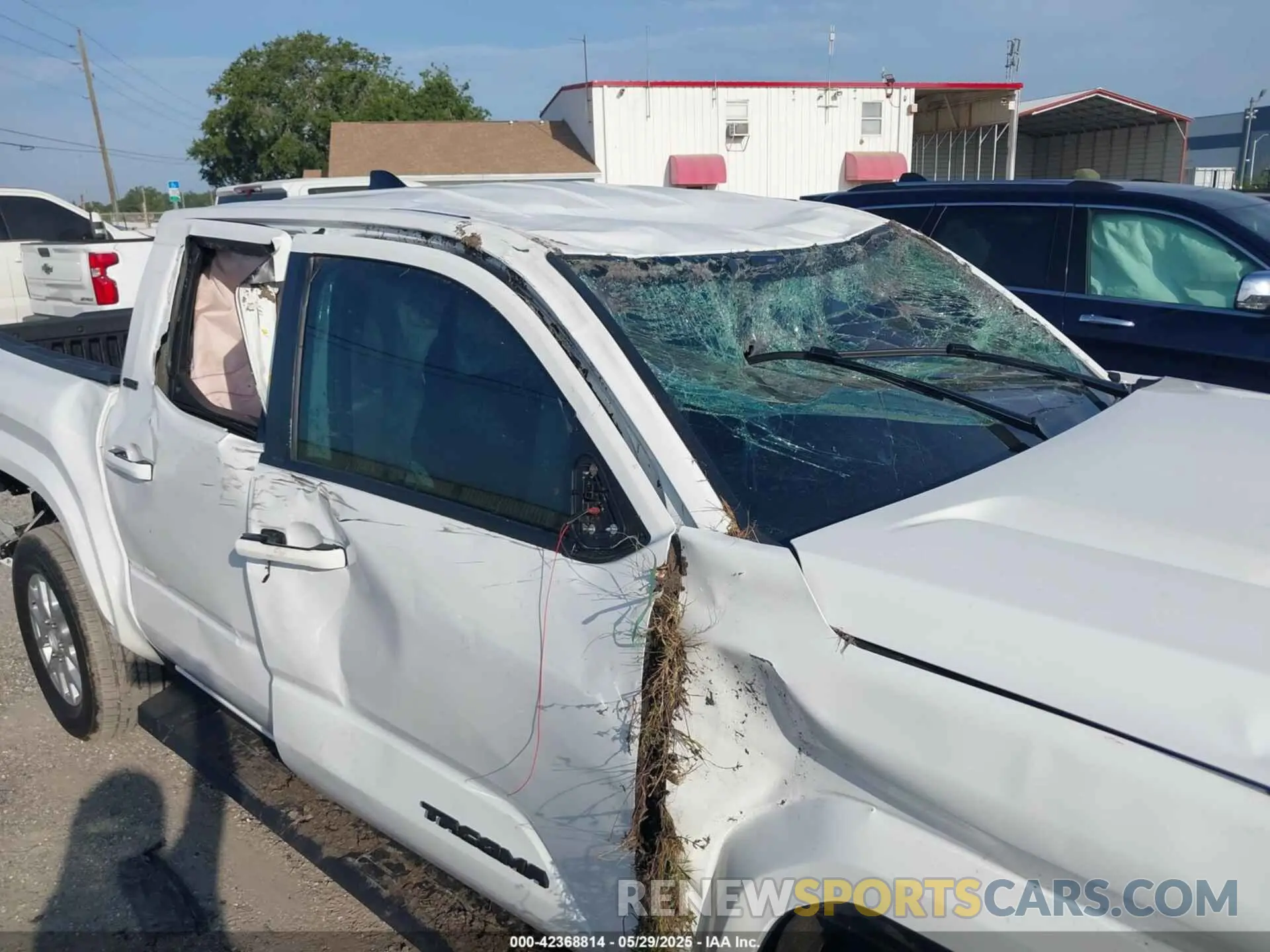 6 Photograph of a damaged car 3TMKB5FN2RM003804 TOYOTA TACOMA 2024