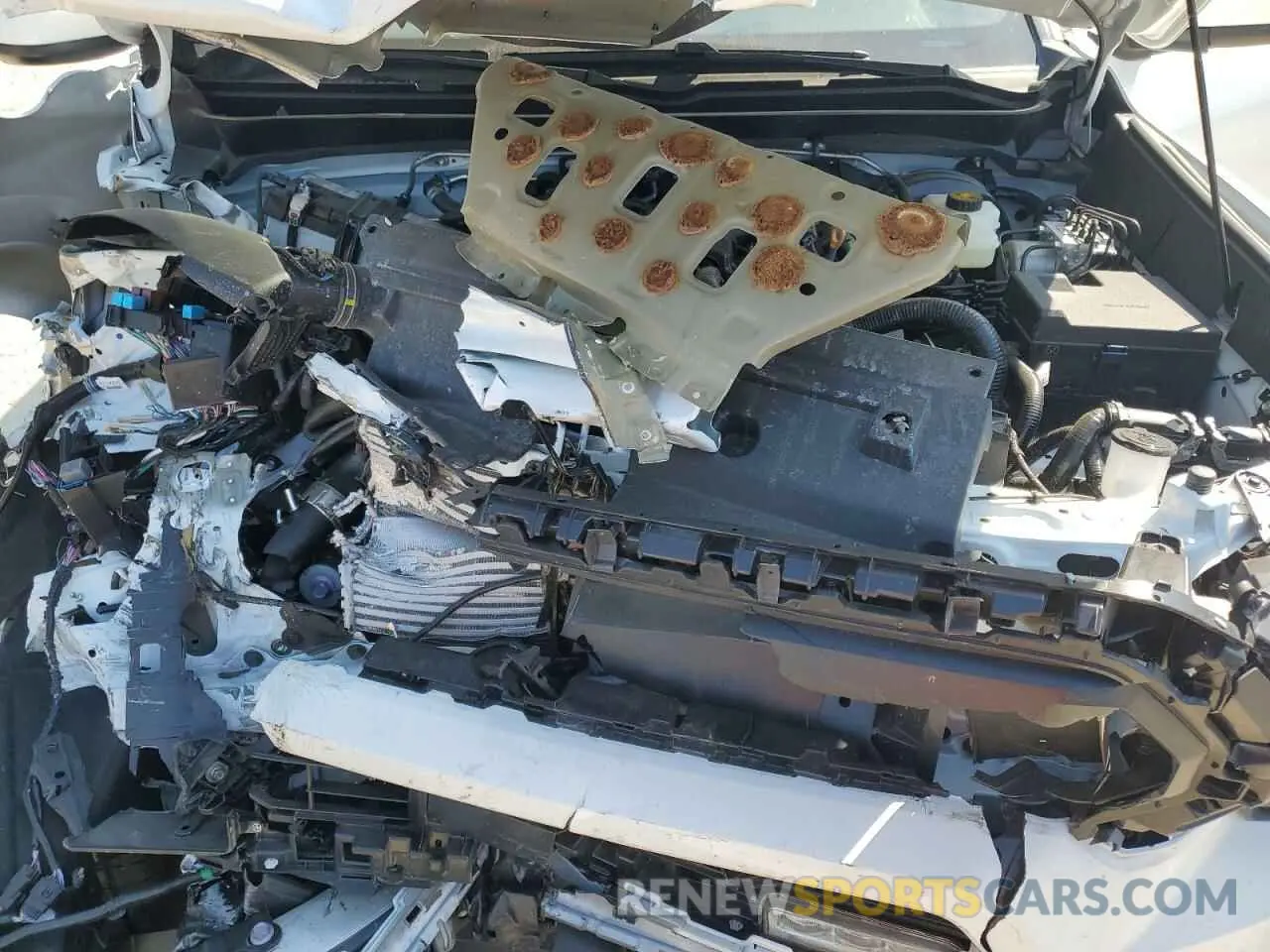 11 Photograph of a damaged car 3TMKB5FN5RM016112 TOYOTA TACOMA 2024