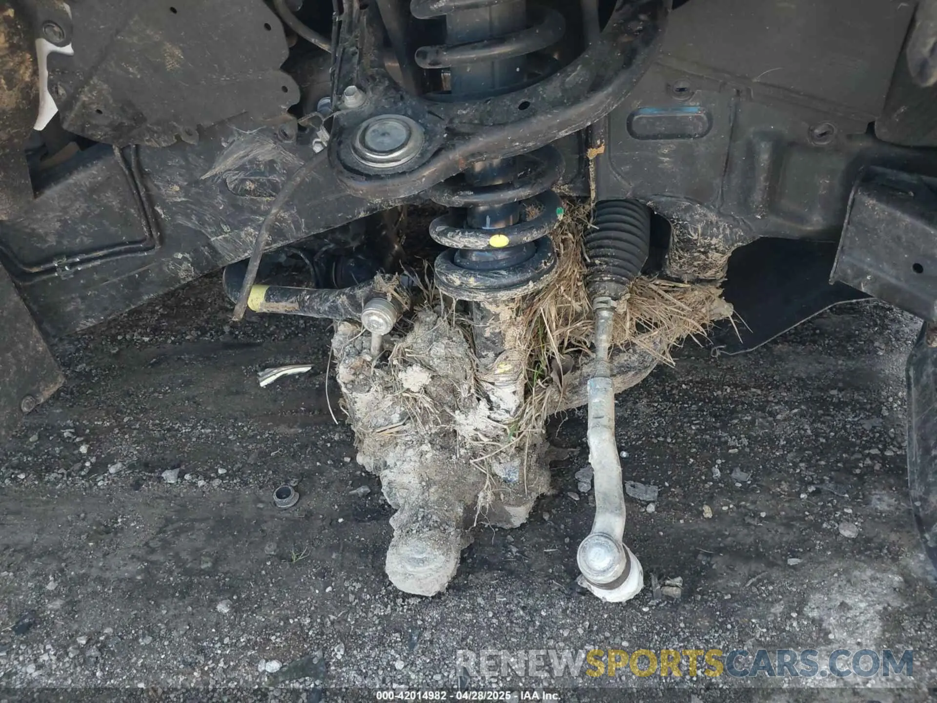19 Photograph of a damaged car 3TYLB5JN0RT031648 TOYOTA TACOMA 2024