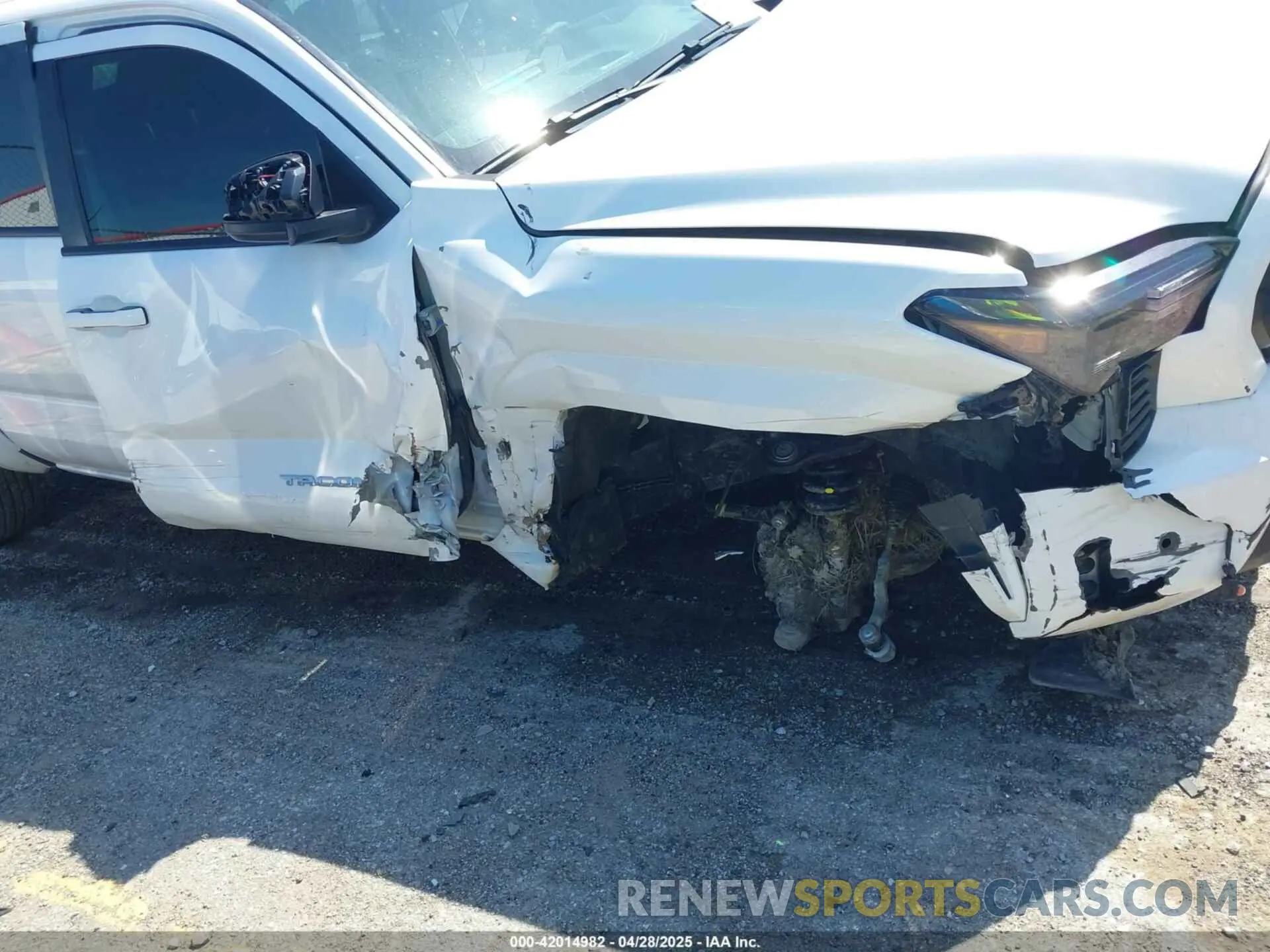 6 Photograph of a damaged car 3TYLB5JN0RT031648 TOYOTA TACOMA 2024