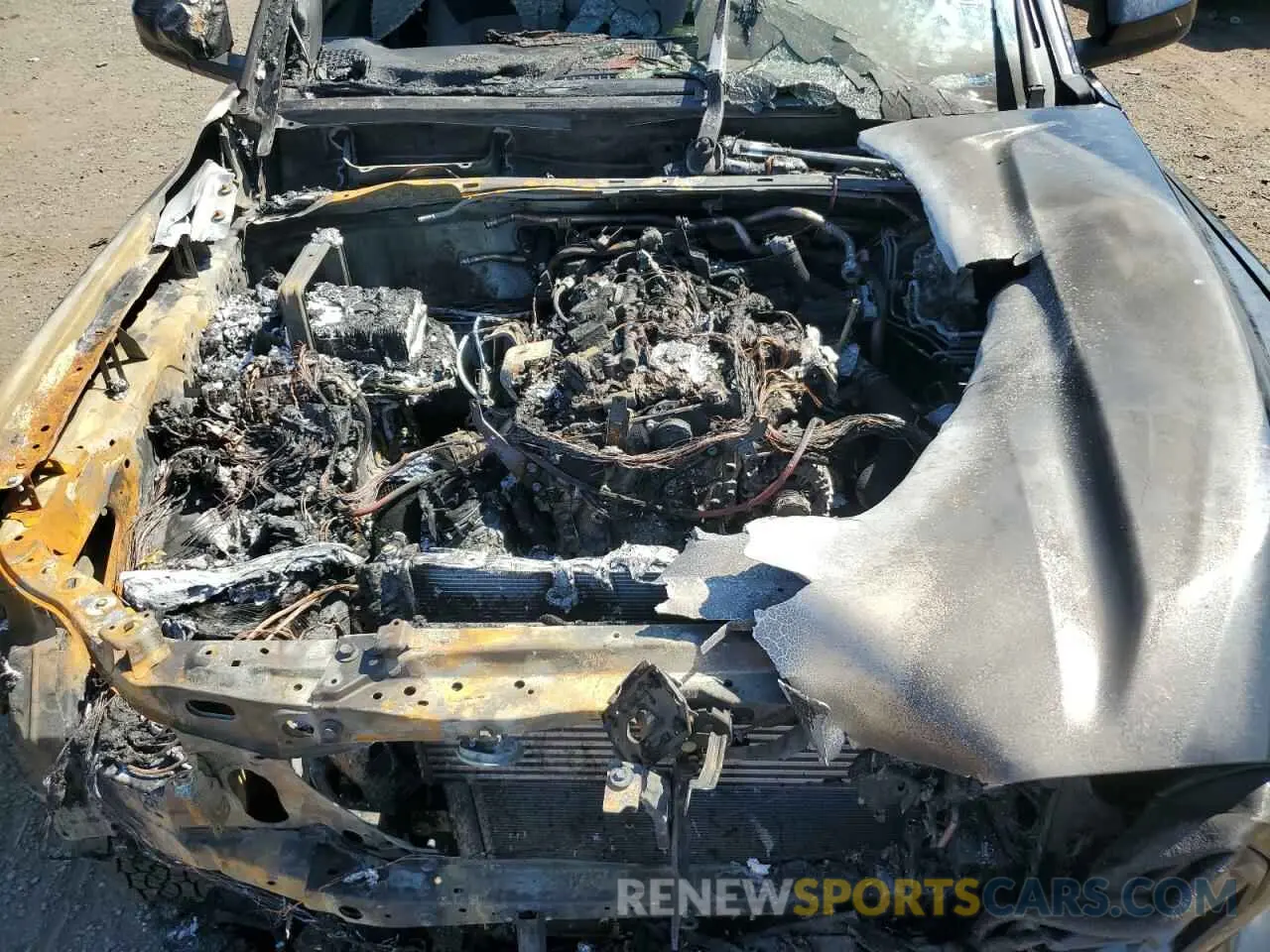 11 Photograph of a damaged car 3TYLB5JN5RT006051 TOYOTA TACOMA 2024