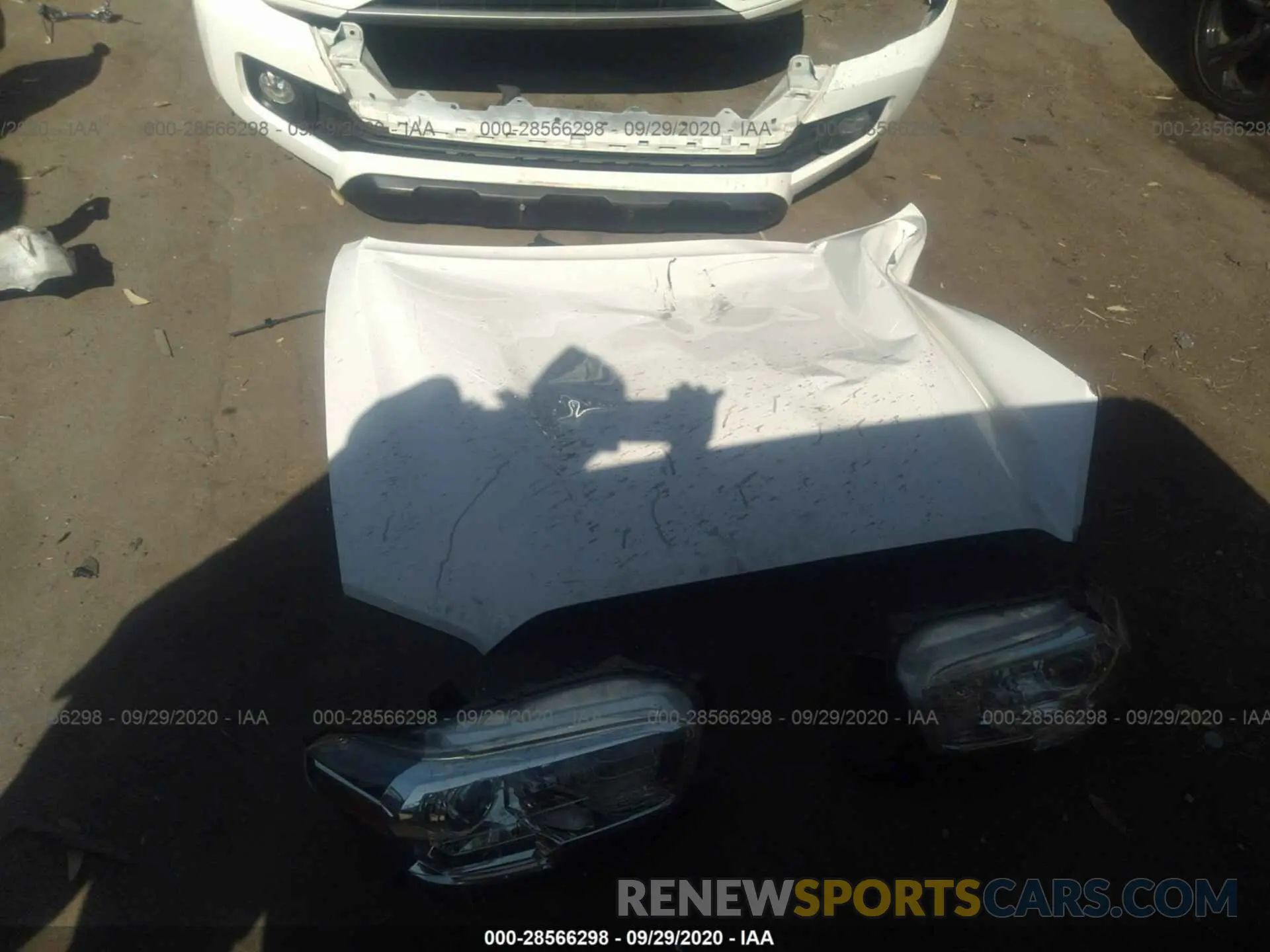 12 Photograph of a damaged car 5TFAX5GN2KX136185 TOYOTA TACOMA 2WD 2019