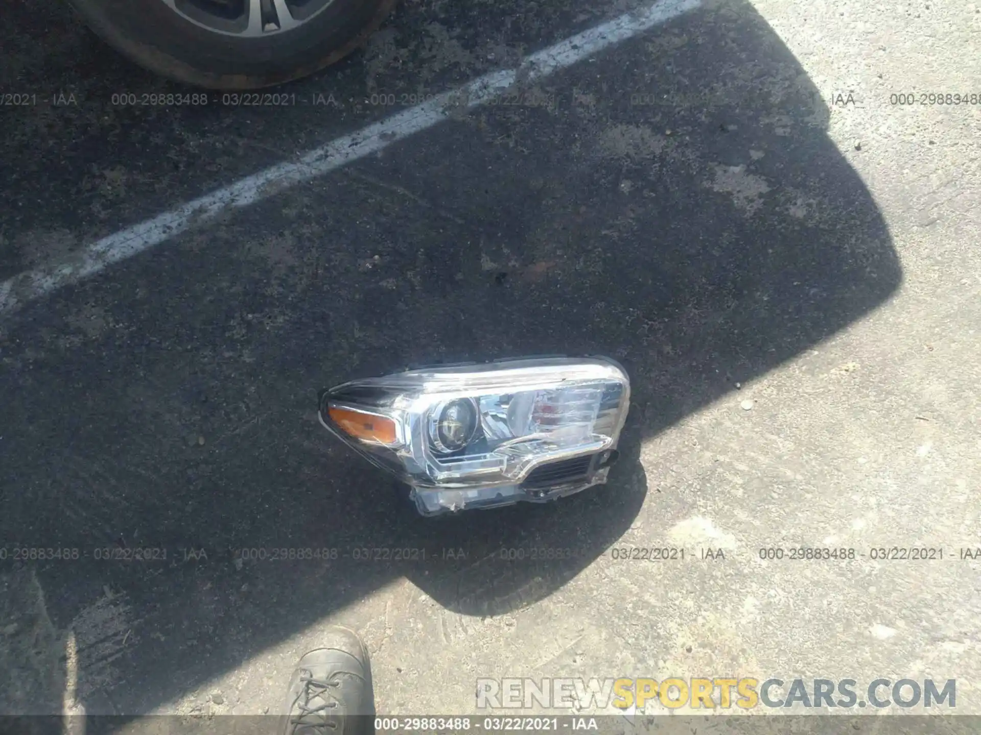 12 Photograph of a damaged car 5TFAZ5CN5KX077536 TOYOTA TACOMA 2WD 2019