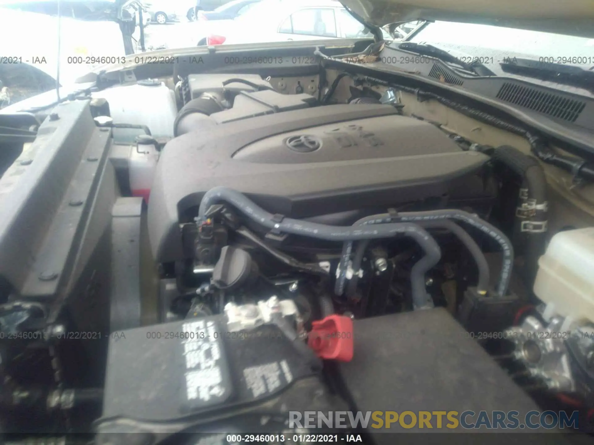 10 Photograph of a damaged car 3TMCZ5AN0KM207658 TOYOTA TACOMA 4WD 2019