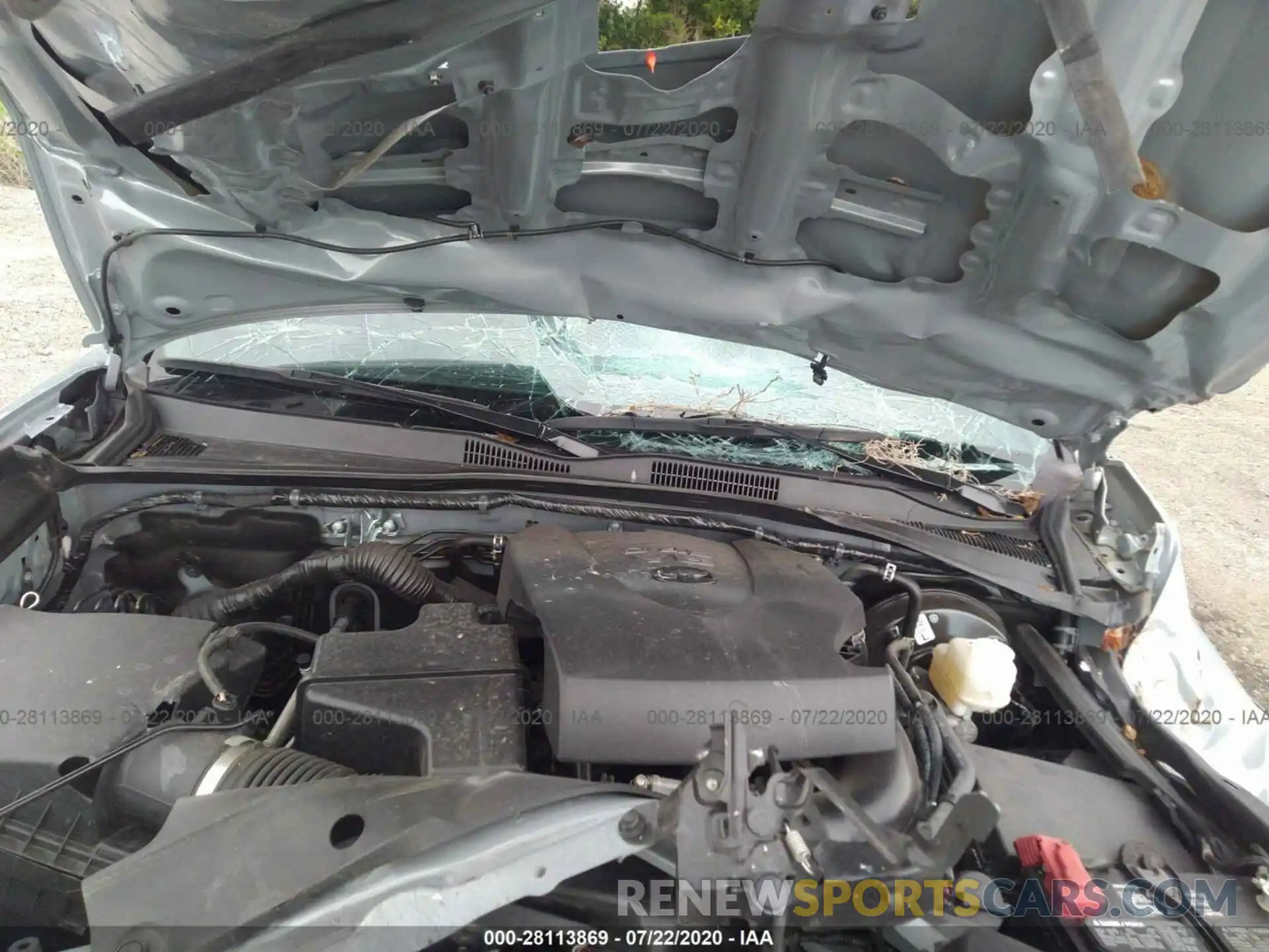 10 Photograph of a damaged car 3TMCZ5AN8KM269955 TOYOTA TACOMA 4WD 2019