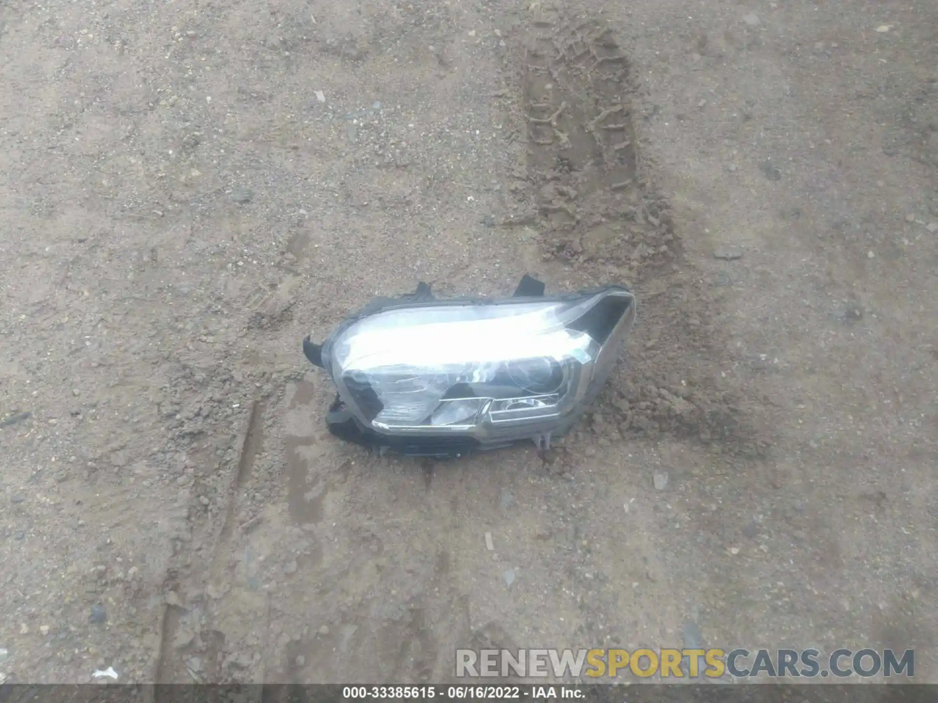 12 Photograph of a damaged car 3TMCZ5AN9KM257507 TOYOTA TACOMA 4WD 2019