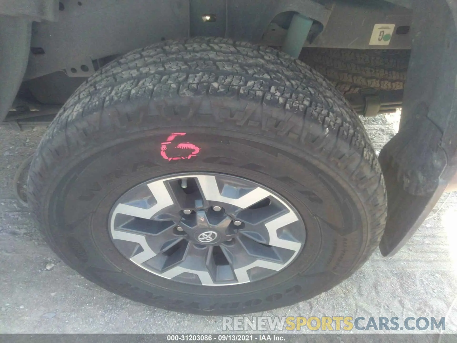 13 Photograph of a damaged car 3TMCZ5AN9KM269186 TOYOTA TACOMA 4WD 2019