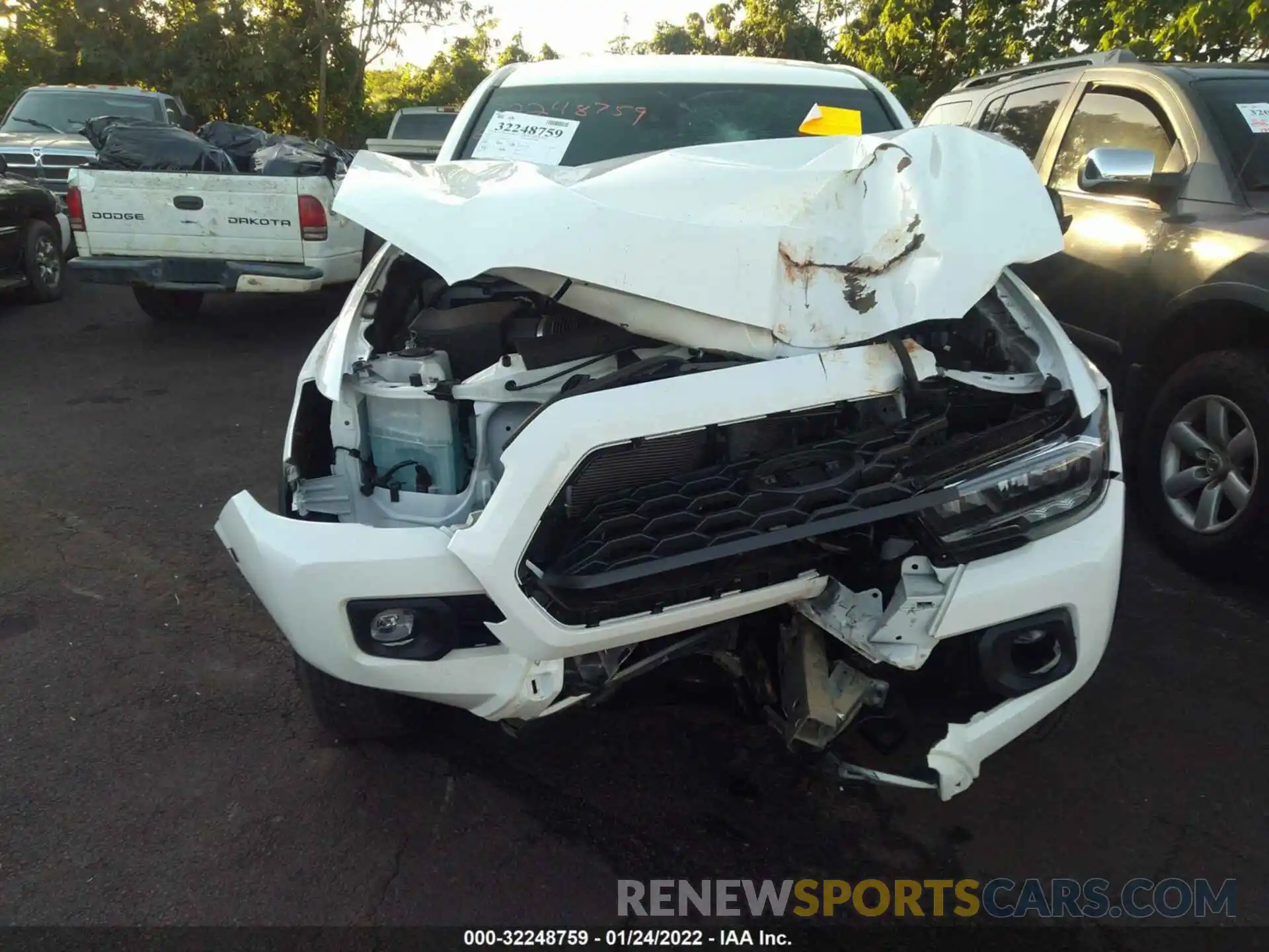 6 Photograph of a damaged car 3TMCZ5AN5MM426165 TOYOTA TACOMA 4WD 2021