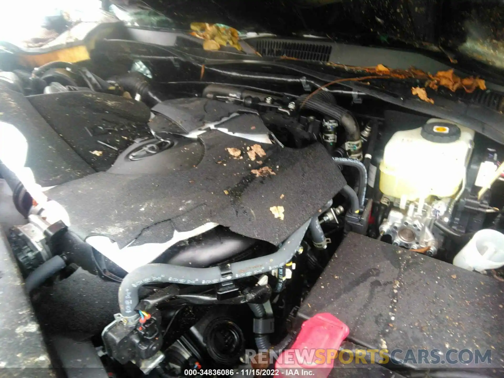 10 Photograph of a damaged car 3TYCZ5AN8NT080263 TOYOTA TACOMA 4WD 2022