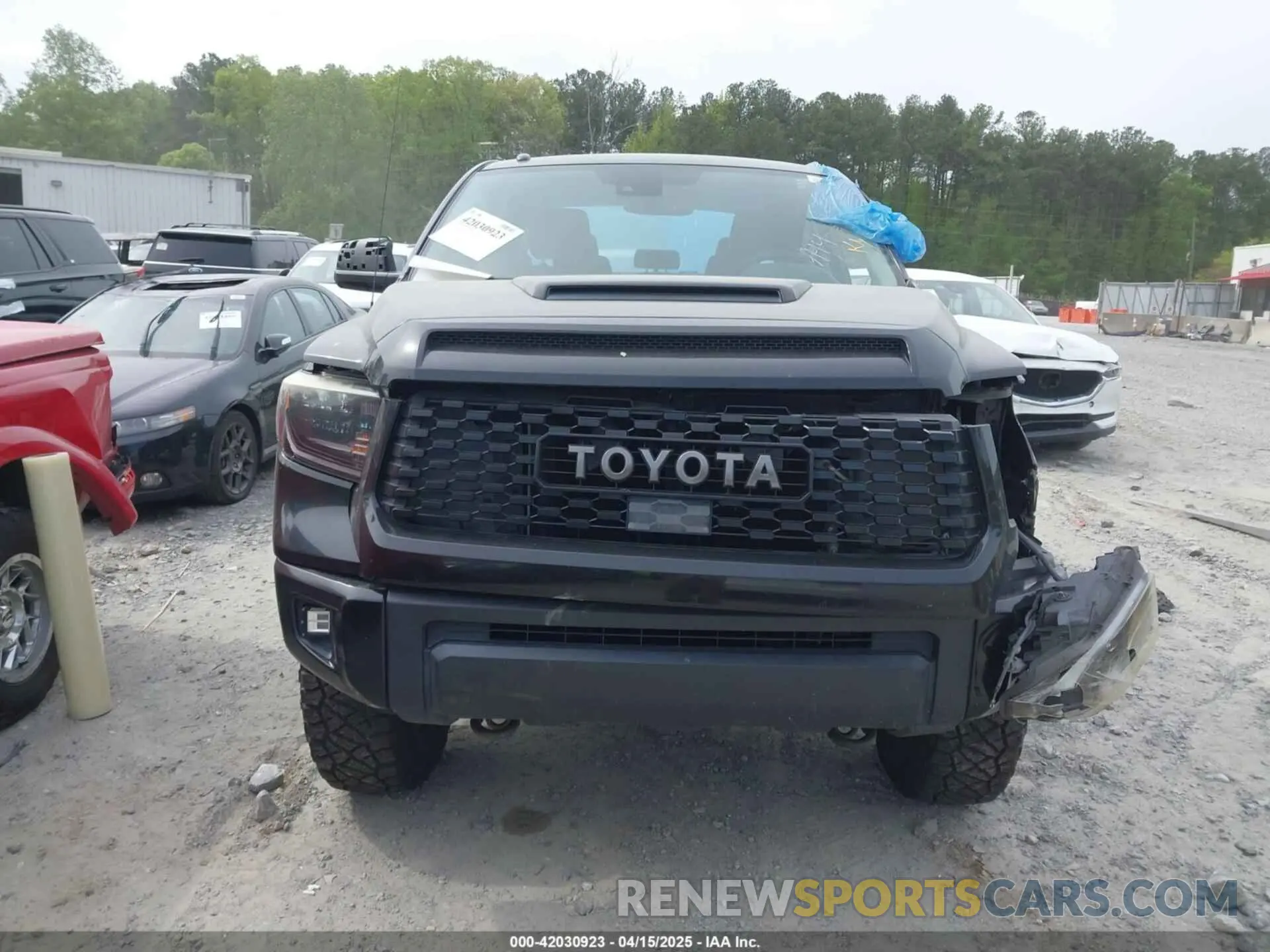 12 Photograph of a damaged car 5TFDY5F11KX834070 TOYOTA TUNDRA 2019