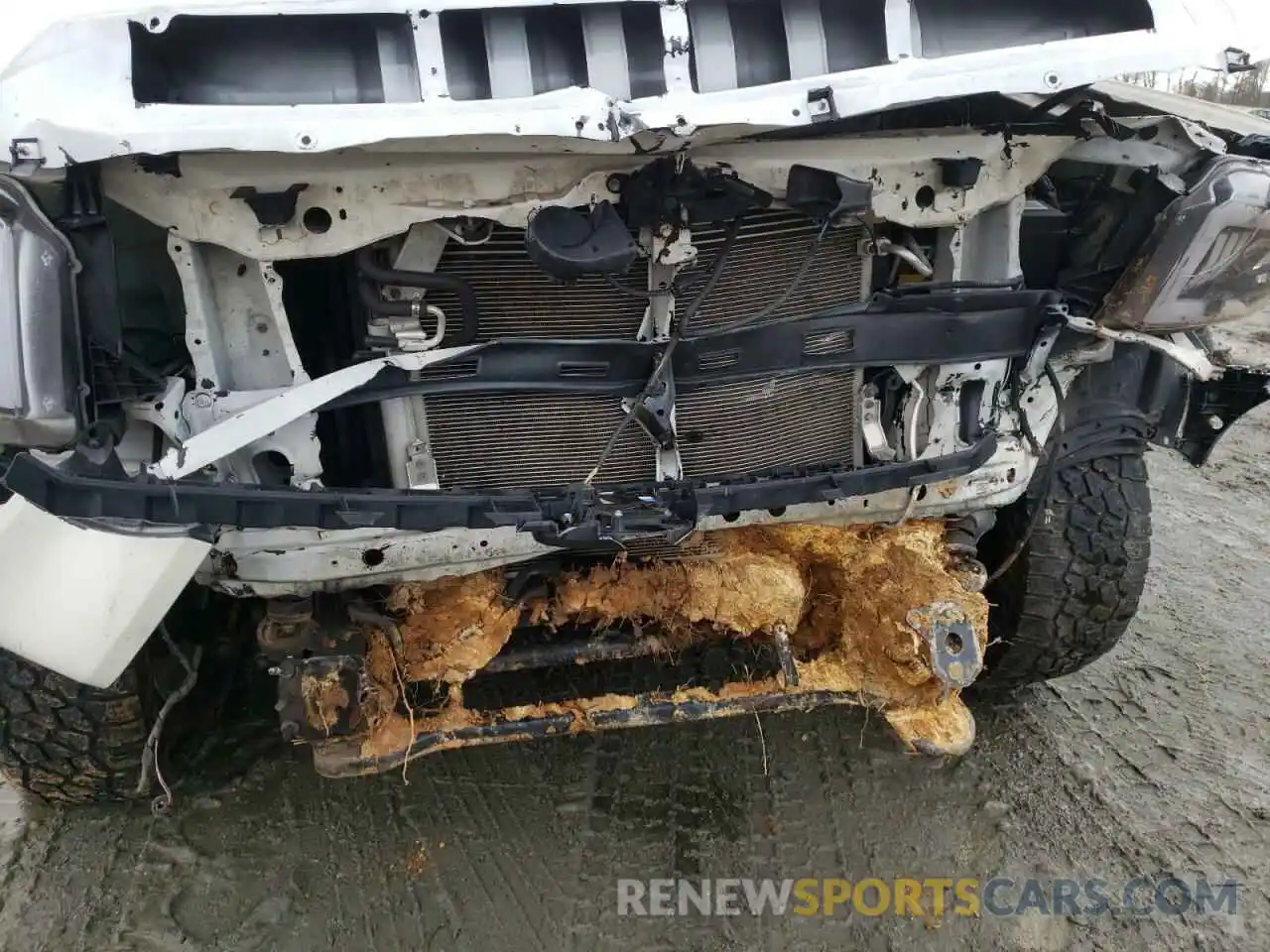 9 Photograph of a damaged car 5TFDY5F15KX807910 TOYOTA TUNDRA 2019