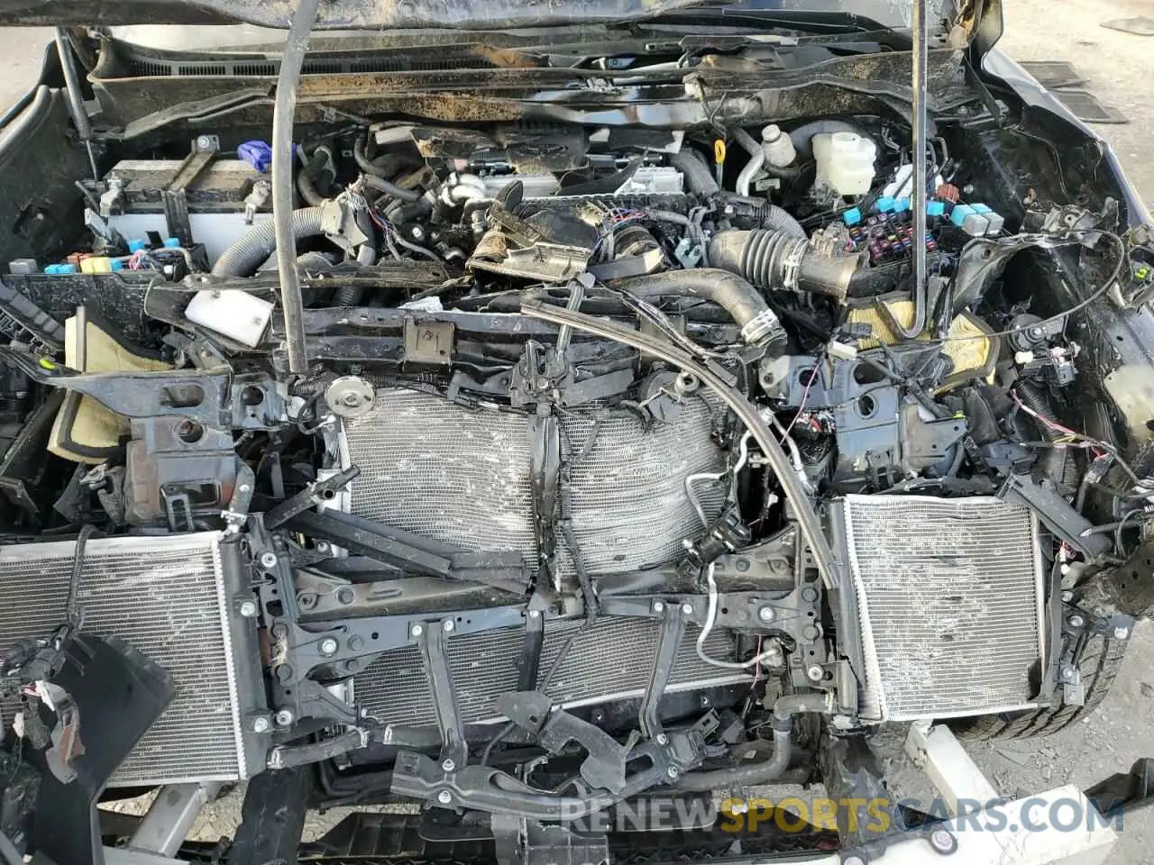 12 Photograph of a damaged car 5TFWA5EC6RX035010 TOYOTA TUNDRA 2024
