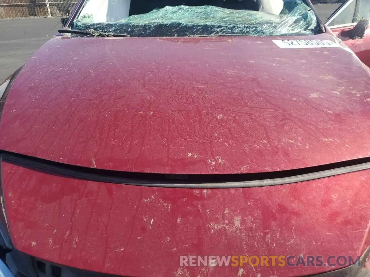 13 Photograph of a damaged car JTEAAAAH5MJ036001 TOYOTA VENZA 2021