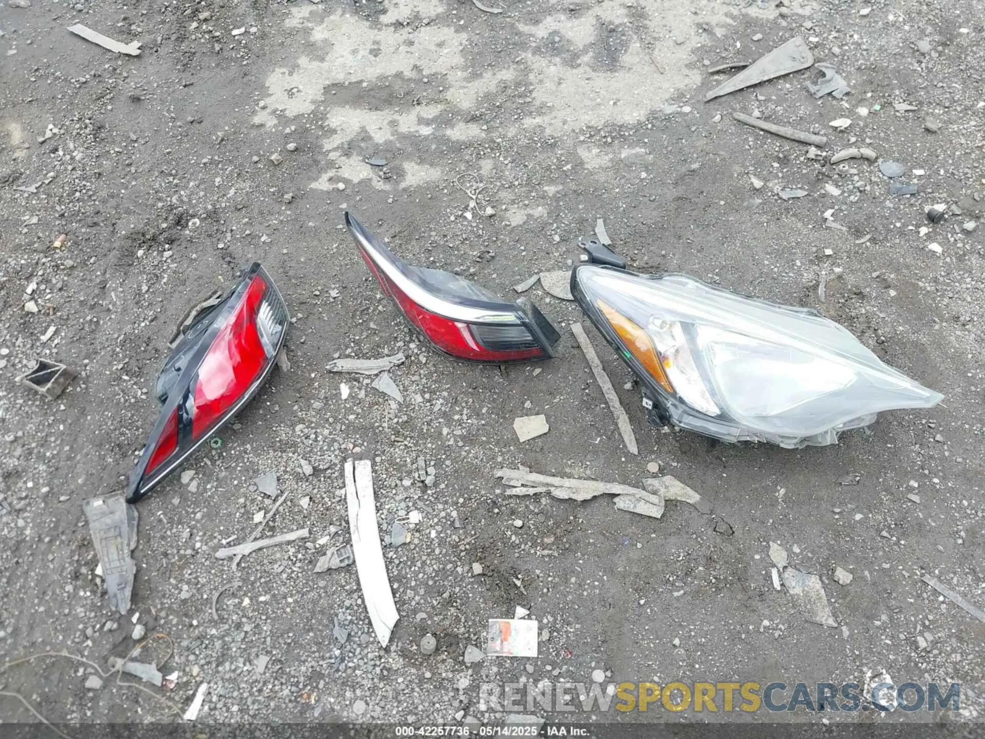 12 Photograph of a damaged car 3MYDLBYV1KY524689 TOYOTA YARIS 2019