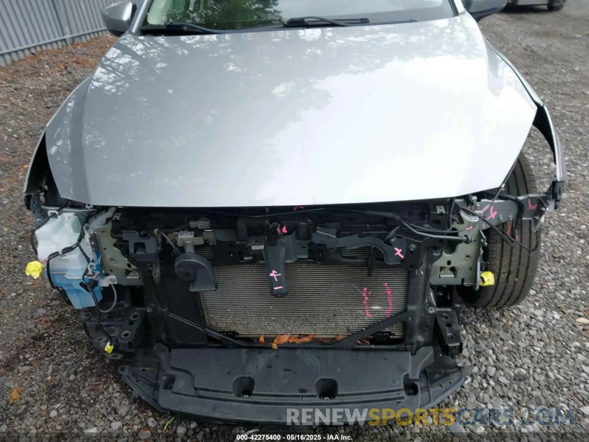 6 Photograph of a damaged car 3MYDLBYV3KY525777 TOYOTA YARIS 2019