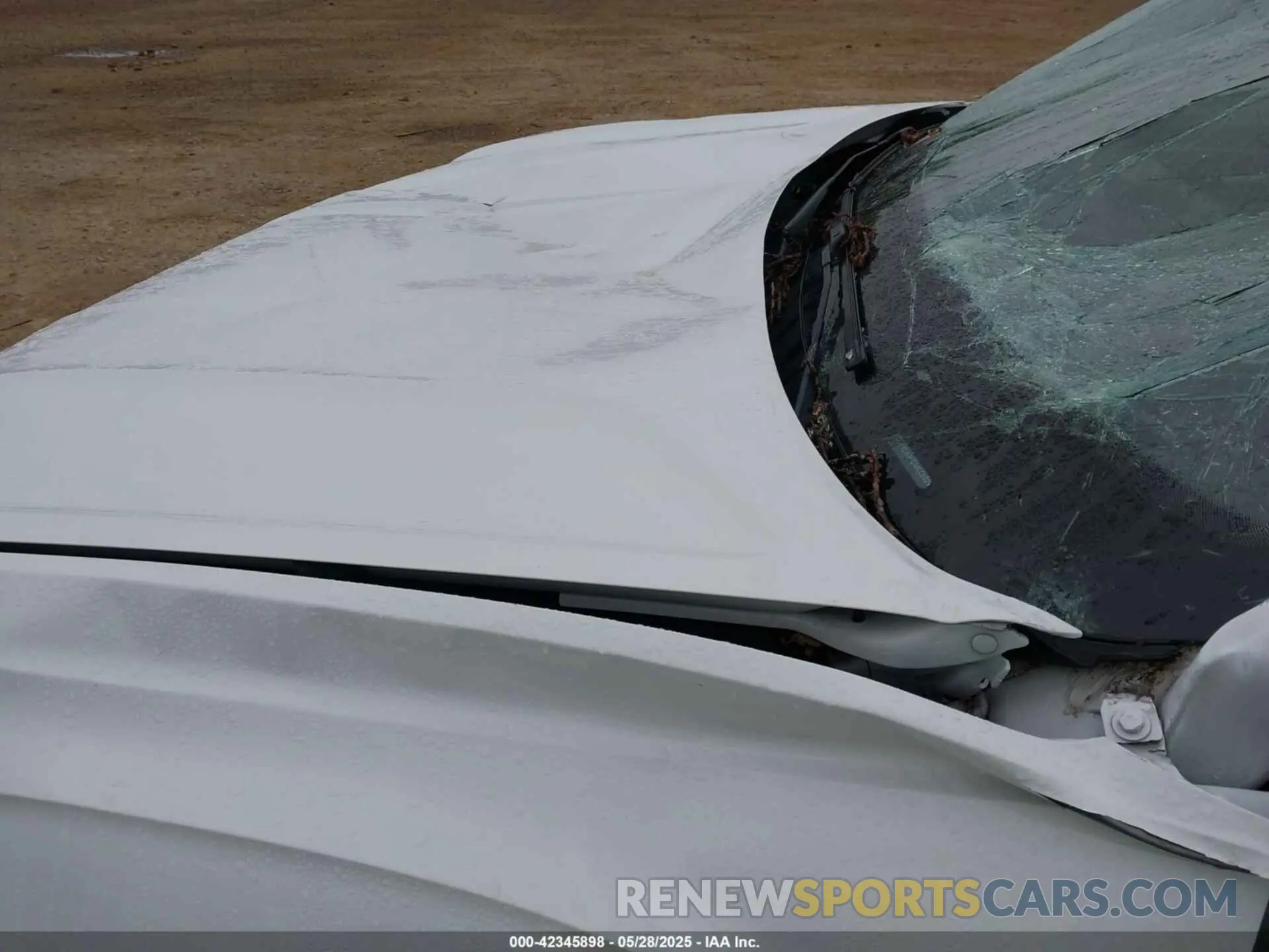 19 Photograph of a damaged car 1V2WR2CA6LC502996 VOLKSWAGEN ATLAS 2020