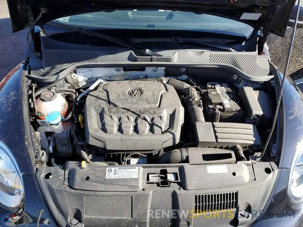 11 Photograph of a damaged car 3VW5DAAT0KM506031 VOLKSWAGEN BEETLE 2019