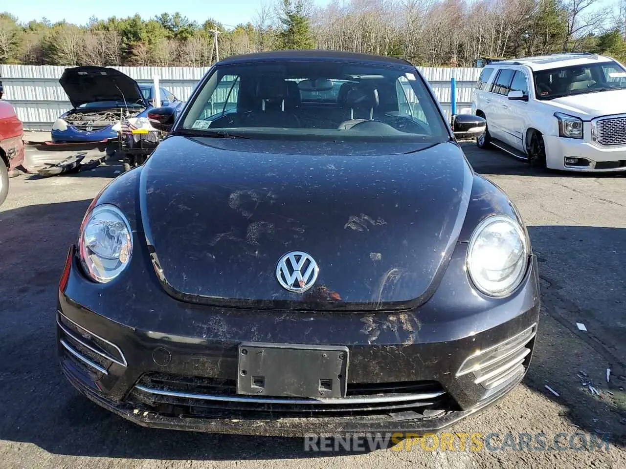 5 Photograph of a damaged car 3VW5DAAT0KM506031 VOLKSWAGEN BEETLE 2019