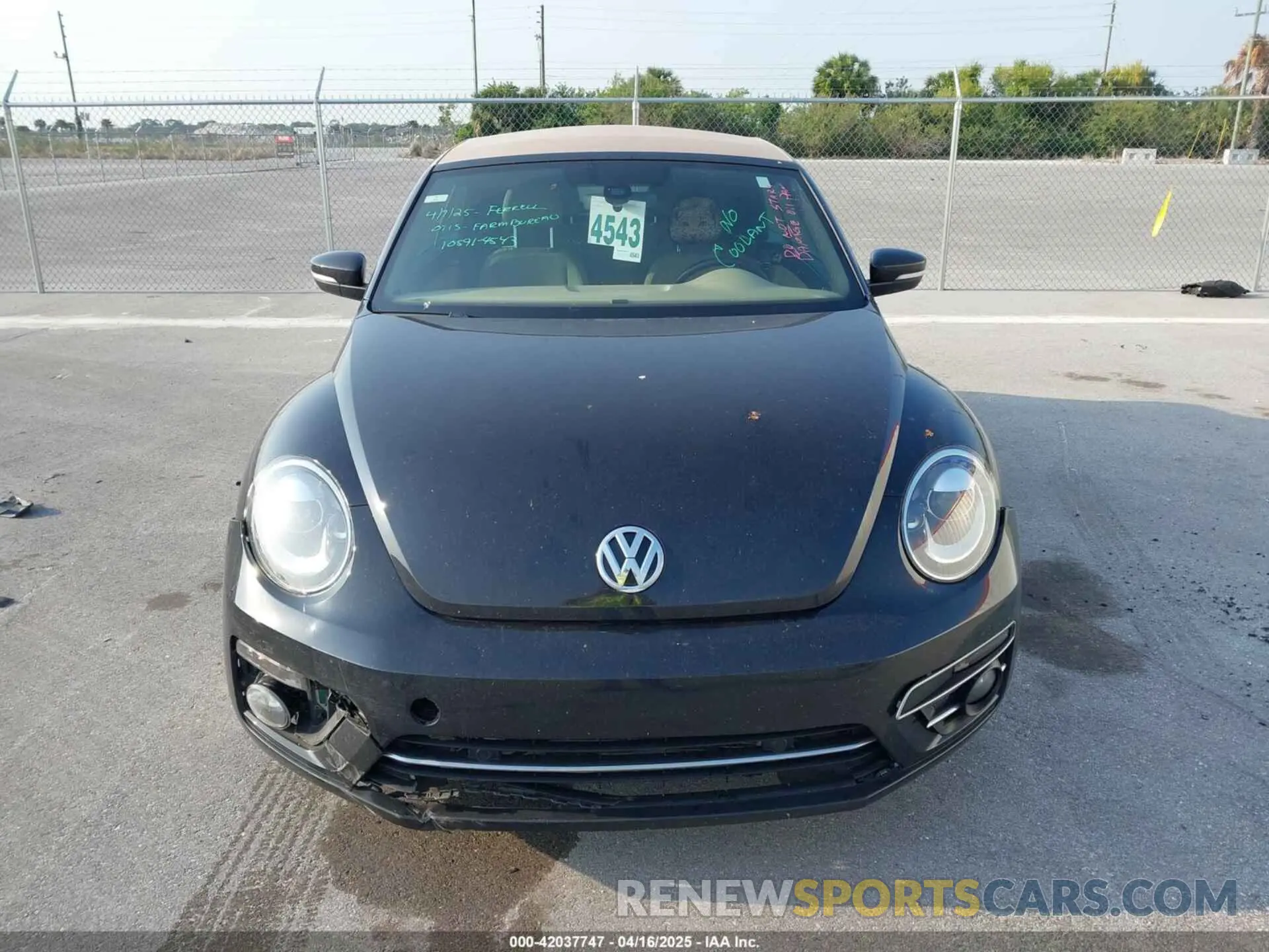 12 Photograph of a damaged car 3VW5DAAT0KM508720 VOLKSWAGEN BEETLE 2019