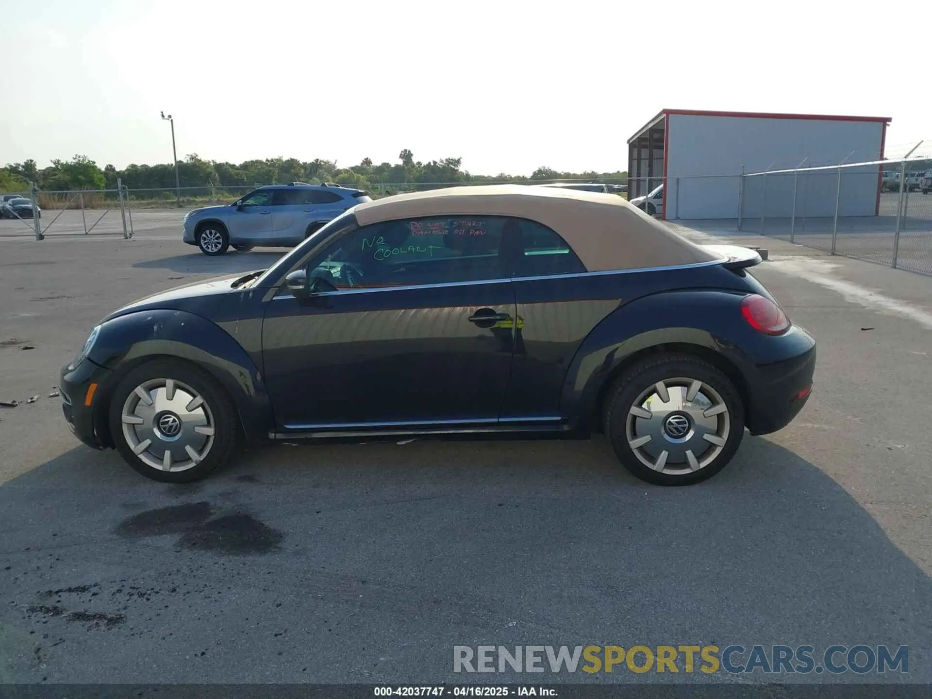 14 Photograph of a damaged car 3VW5DAAT0KM508720 VOLKSWAGEN BEETLE 2019