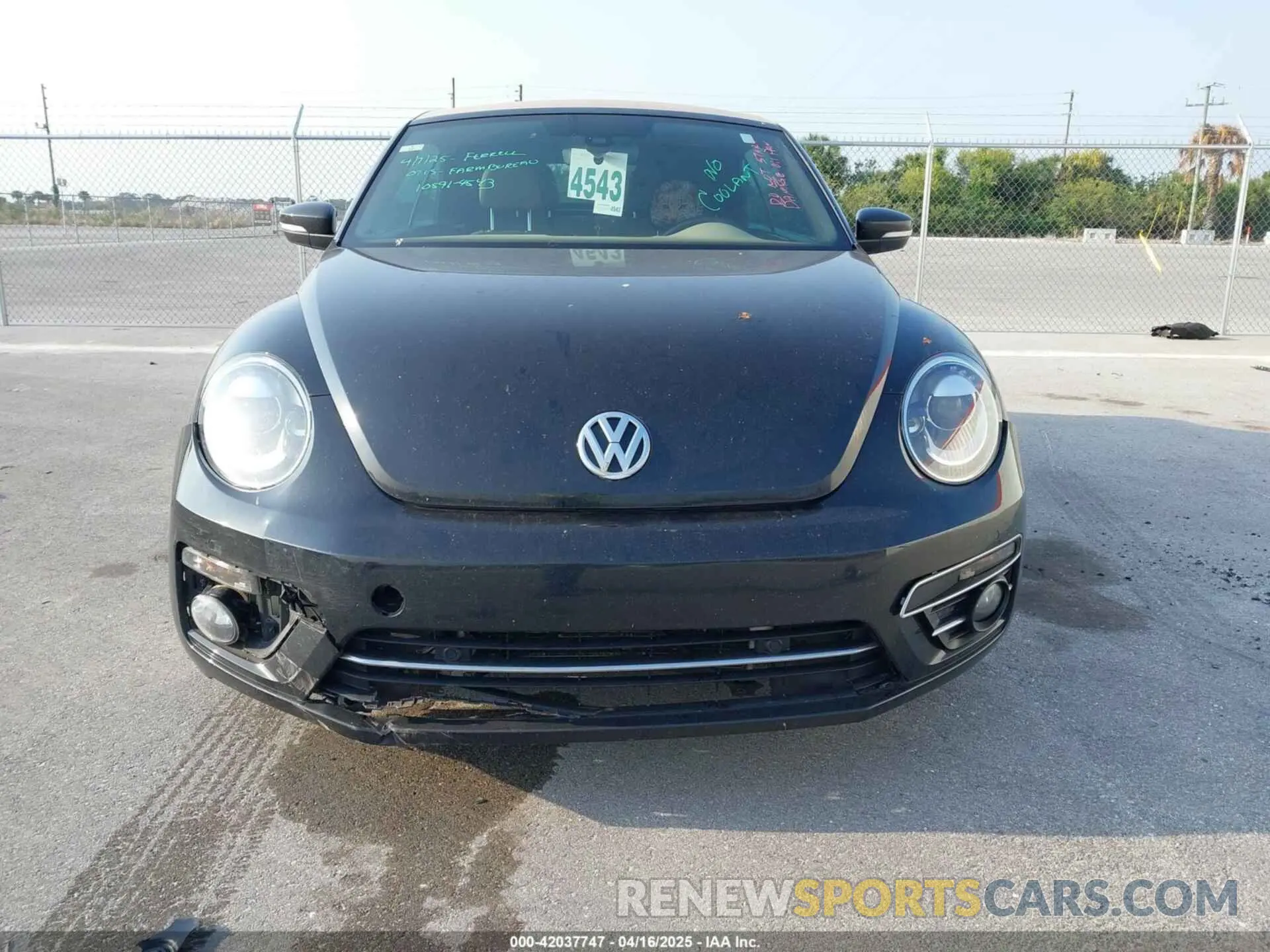 6 Photograph of a damaged car 3VW5DAAT0KM508720 VOLKSWAGEN BEETLE 2019