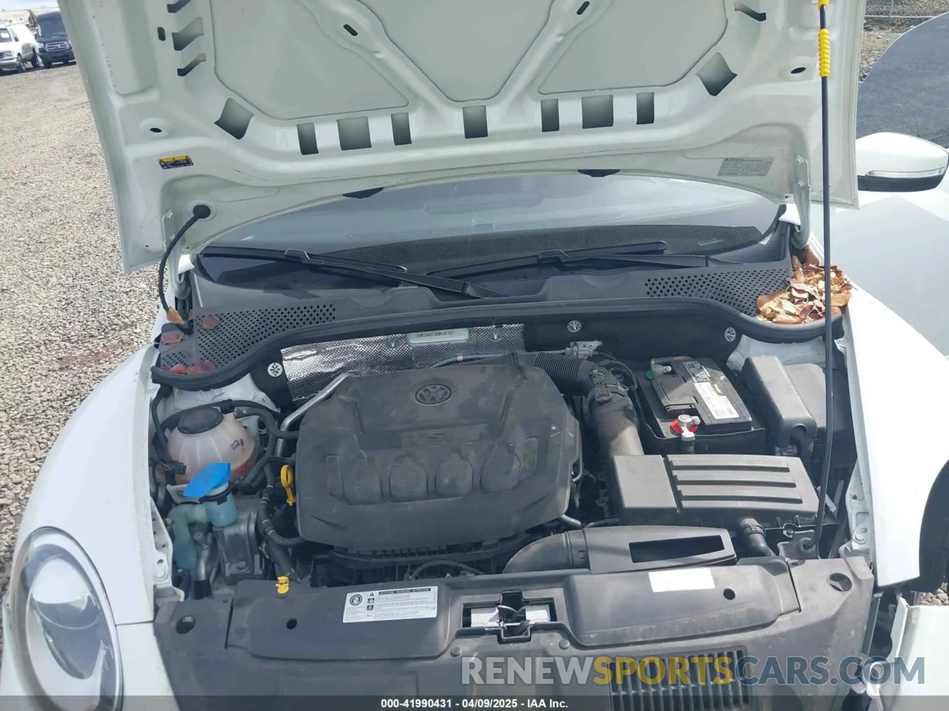 10 Photograph of a damaged car 3VW5DAAT3KM506167 VOLKSWAGEN BEETLE 2019