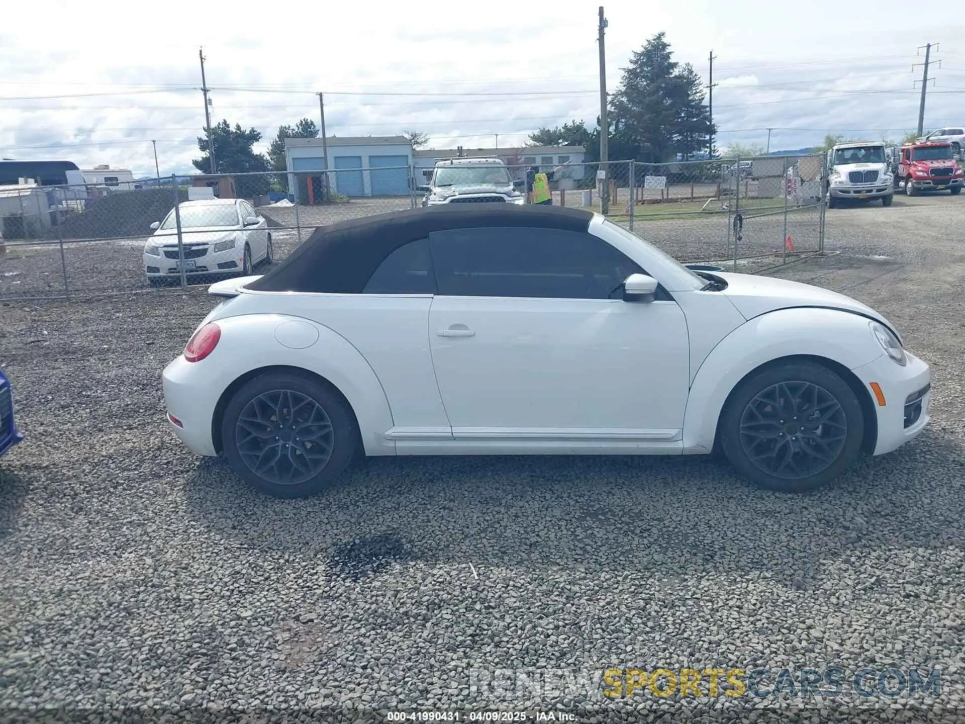 14 Photograph of a damaged car 3VW5DAAT3KM506167 VOLKSWAGEN BEETLE 2019